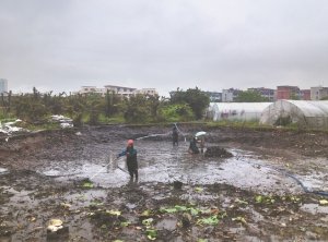 阜城河道鱼塘清淤